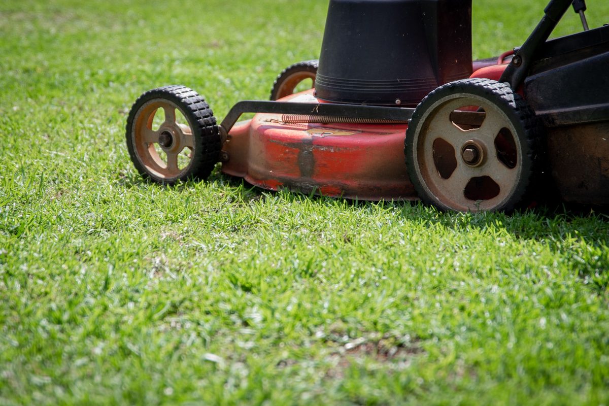 Lawn mower cutting green grass in Liberty Hill, TX