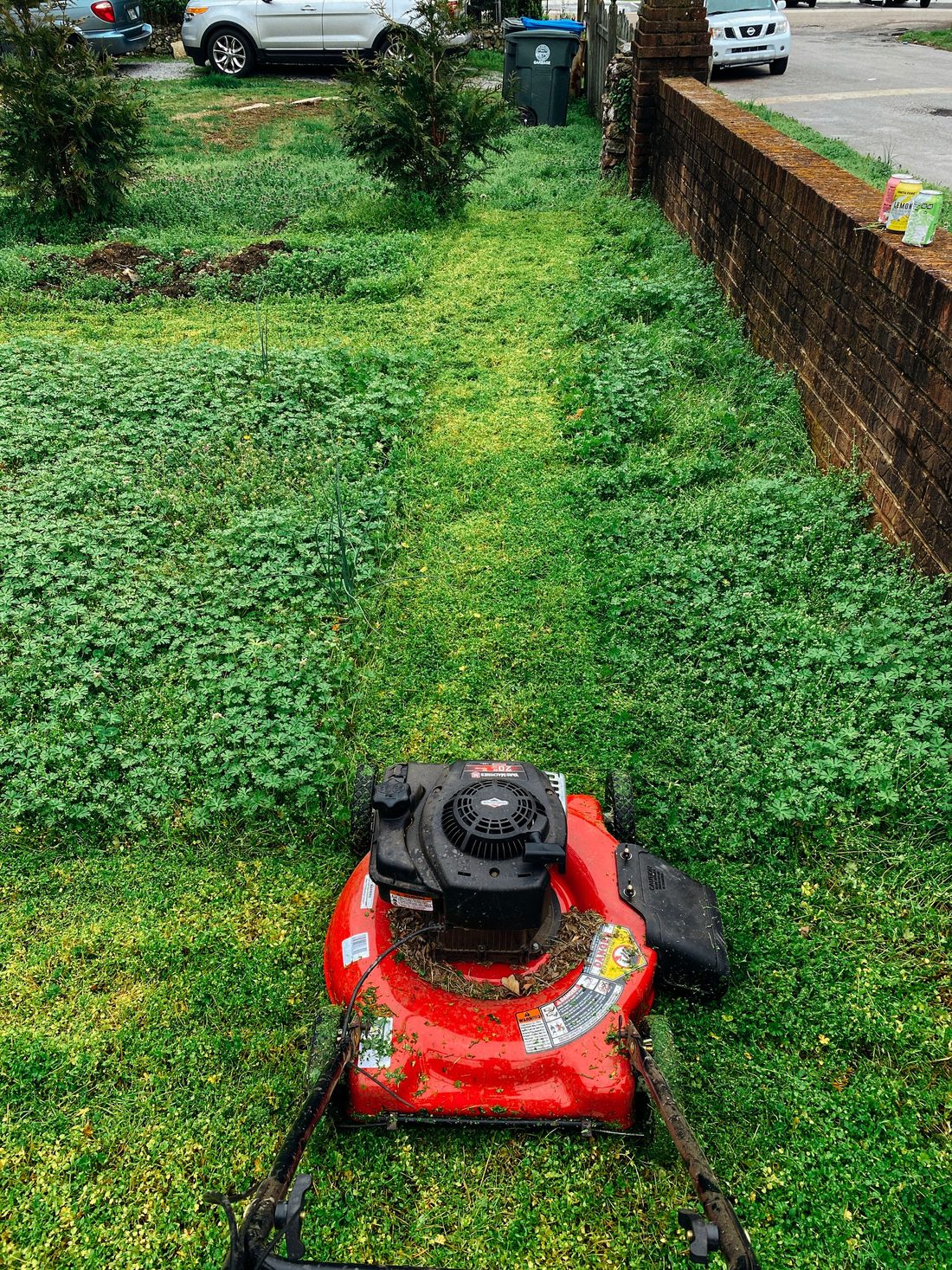 Mower part way through cutting an overgrown yard